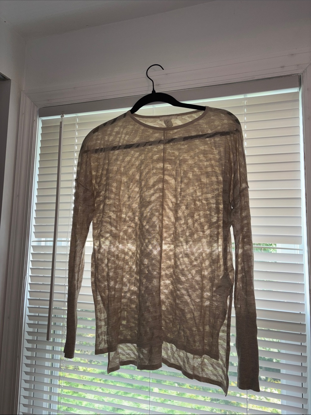 H&M Sheer Taupe Long-Sleeve Top